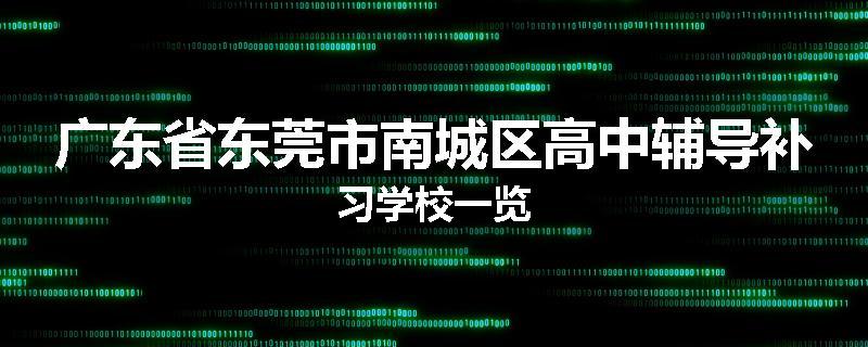 广东省东莞市南城区高中辅导补习学校一览