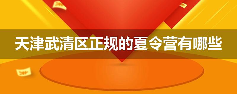 天津武清区正规的夏令营有哪些