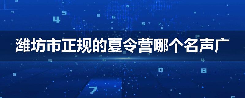潍坊市正规的夏令营哪个名声广