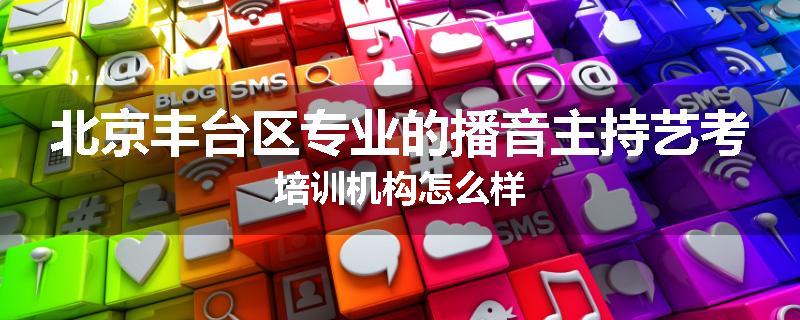 北京丰台区专业的播音主持艺考培训机构怎么样