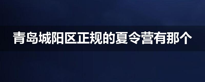 青岛城阳区正规的夏令营有那个