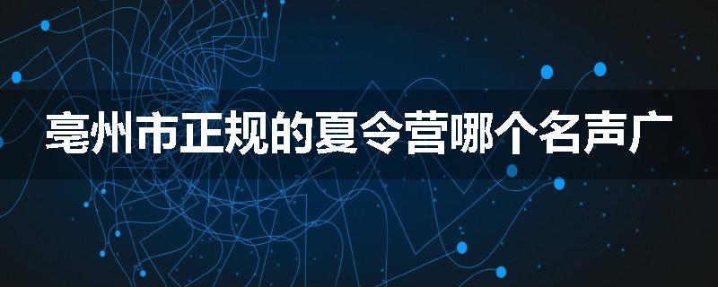 亳州市正规的夏令营哪个名声广