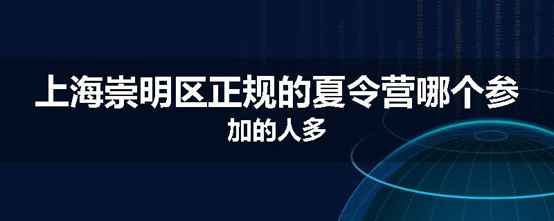 上海崇明区正规的夏令营哪个参加的人多