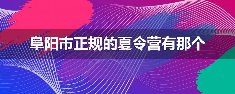 阜阳市正规的夏令营有那个