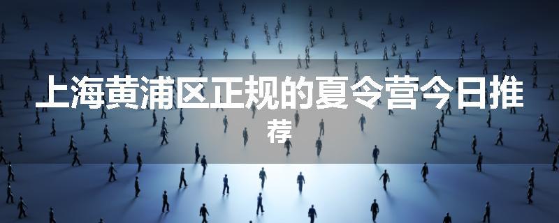 上海黄浦区正规的夏令营今日推荐