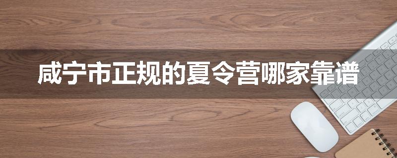 咸宁市正规的夏令营哪家靠谱
