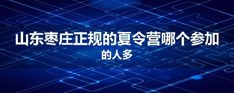 山东枣庄正规的夏令营哪个参加的人多