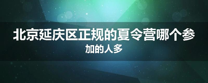 北京延庆区正规的夏令营哪个参加的人多