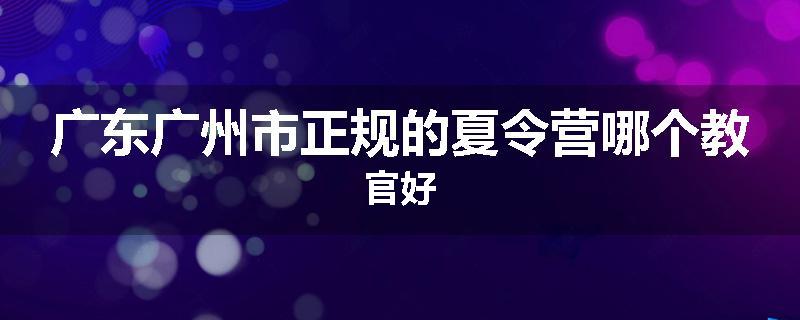广东广州市正规的夏令营哪个教官好