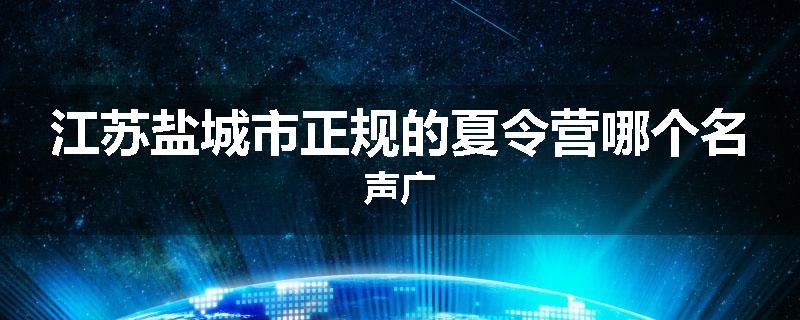 江苏盐城市正规的夏令营哪个名声广