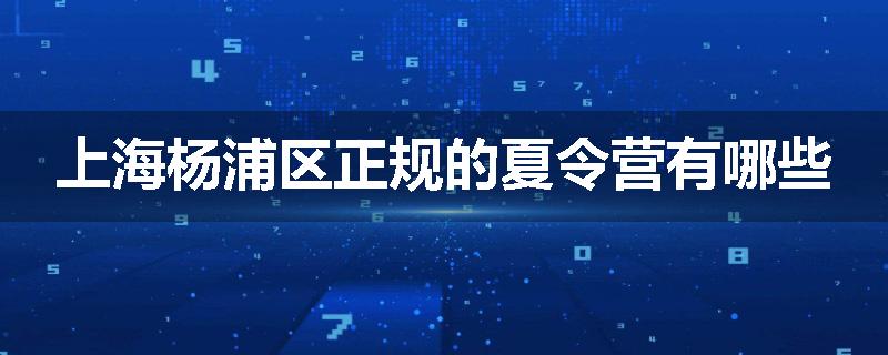 上海杨浦区正规的夏令营有哪些