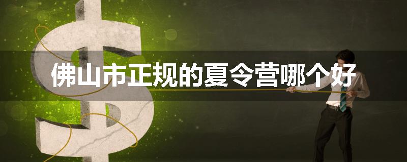 佛山市正规的夏令营哪个好