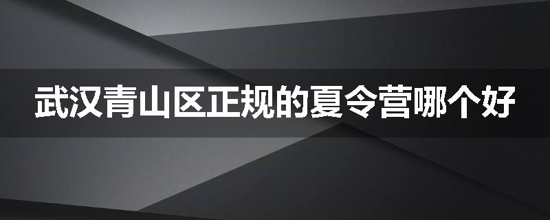 武汉青山区正规的夏令营哪个好