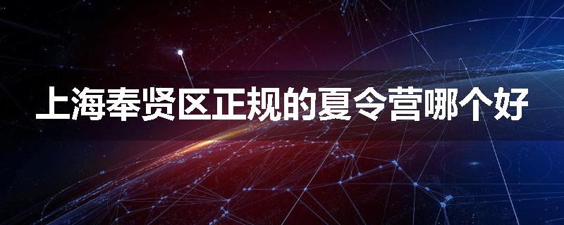 上海奉贤区正规的夏令营哪个好