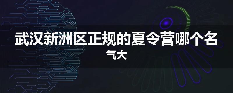 武汉新洲区正规的夏令营哪个名气大