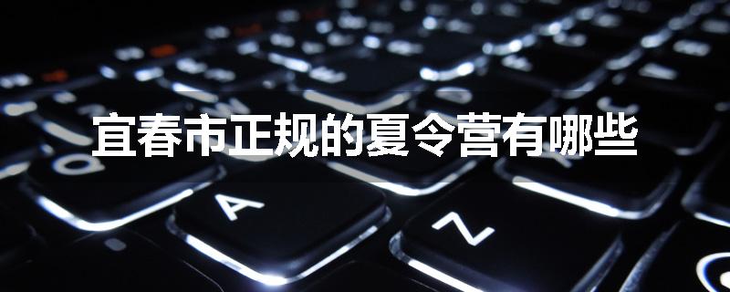 宜春市正规的夏令营有哪些