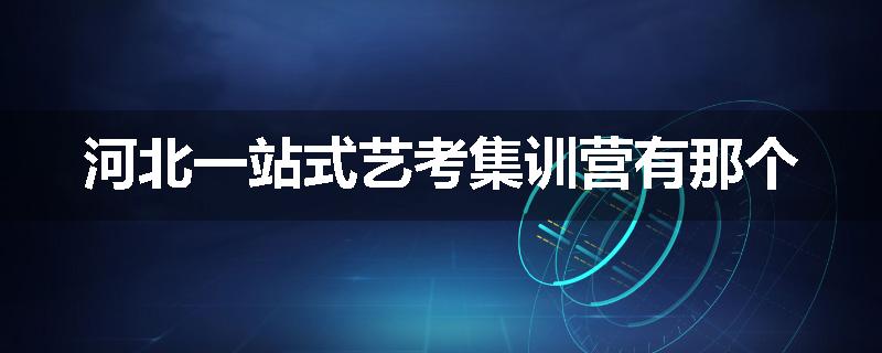 河北一站式艺考集训营有那个