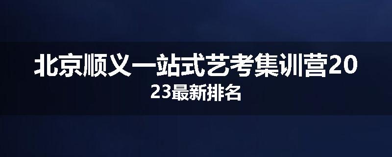 北京顺义一站式艺考集训营2023最新排名