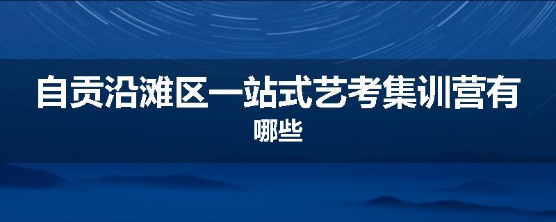 自贡沿滩区一站式艺考集训营有哪些