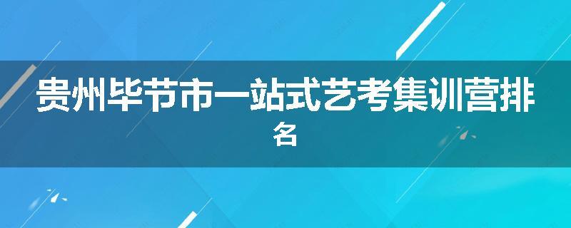 贵州毕节市一站式艺考集训营排名