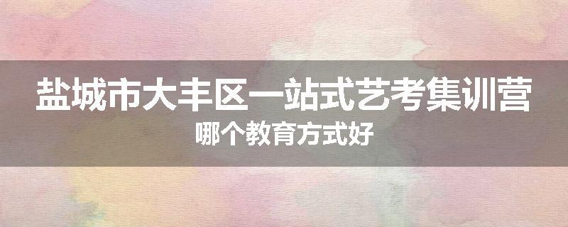 盐城市大丰区一站式艺考集训营哪个教育方式好