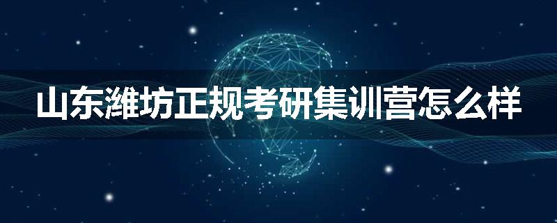 山东潍坊正规考研集训营怎么样