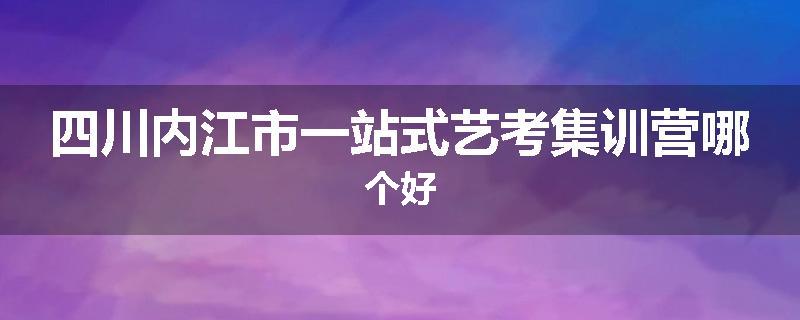 四川内江市一站式艺考集训营哪个好