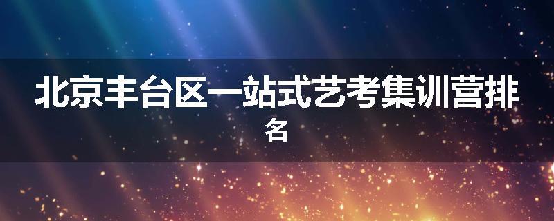 北京丰台区一站式艺考集训营排名
