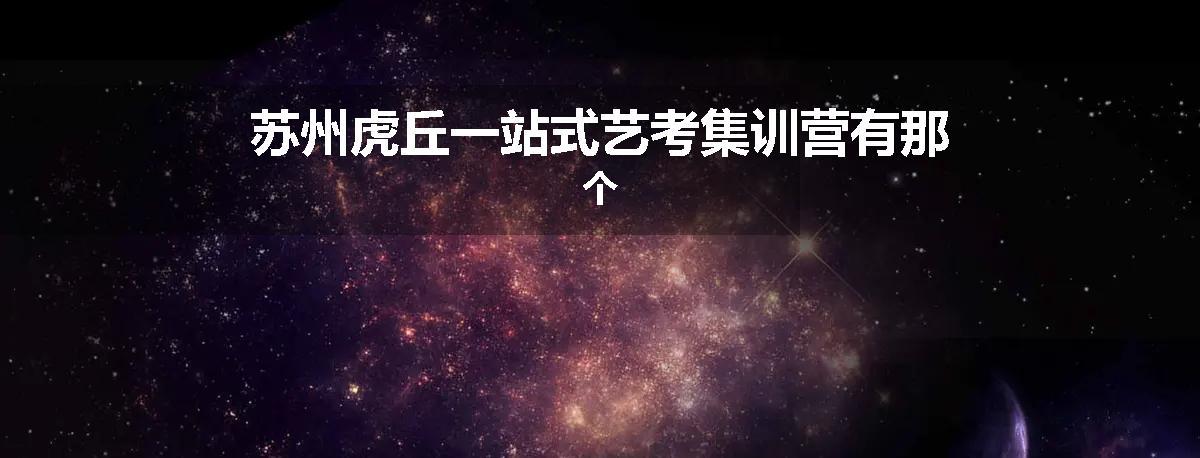 苏州虎丘一站式艺考集训营有那个
