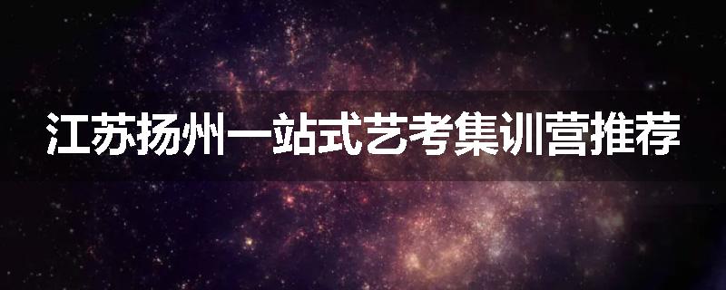 江苏扬州一站式艺考集训营推荐
