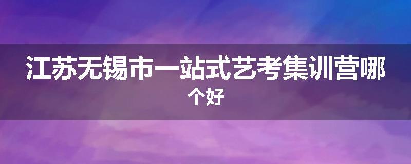 江苏无锡市一站式艺考集训营哪个好