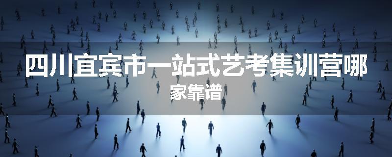 四川宜宾市一站式艺考集训营哪家靠谱
