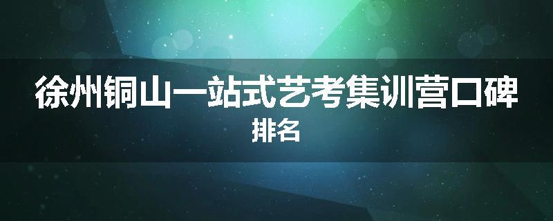 徐州铜山一站式艺考集训营口碑排名