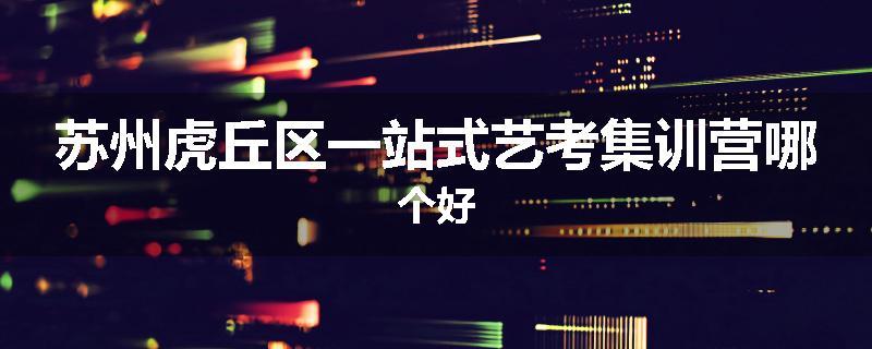 苏州虎丘区一站式艺考集训营哪个好