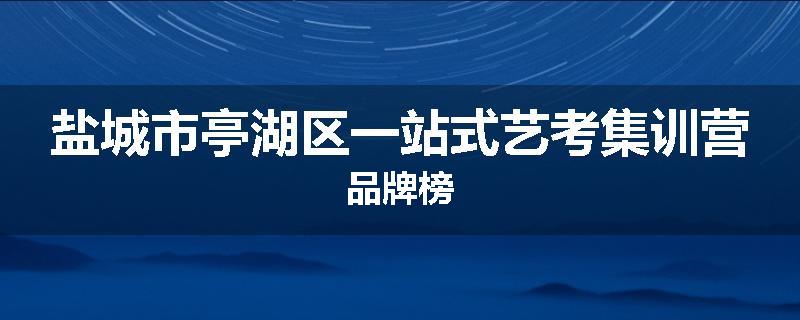 盐城市亭湖区一站式艺考集训营品牌榜