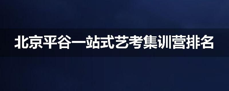 北京平谷一站式艺考集训营排名