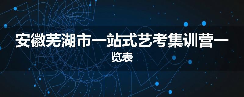 安徽芜湖市一站式艺考集训营一览表