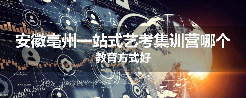 安徽亳州一站式艺考集训营哪个教育方式好