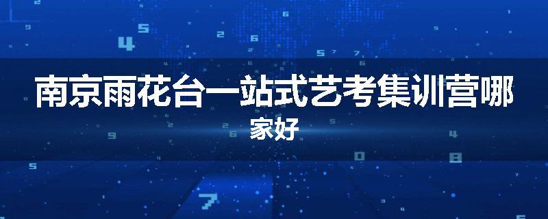 南京雨花台一站式艺考集训营哪家好