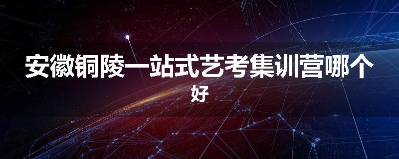 安徽铜陵一站式艺考集训营哪个好
