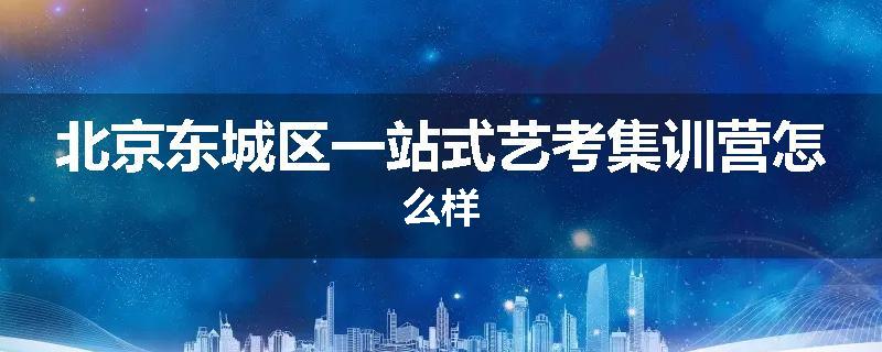北京东城区一站式艺考集训营怎么样