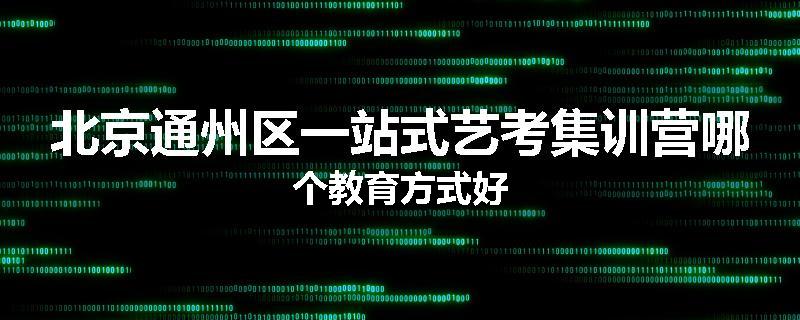北京通州区一站式艺考集训营哪个教育方式好