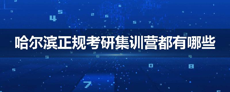 哈尔滨正规考研集训营都有哪些
