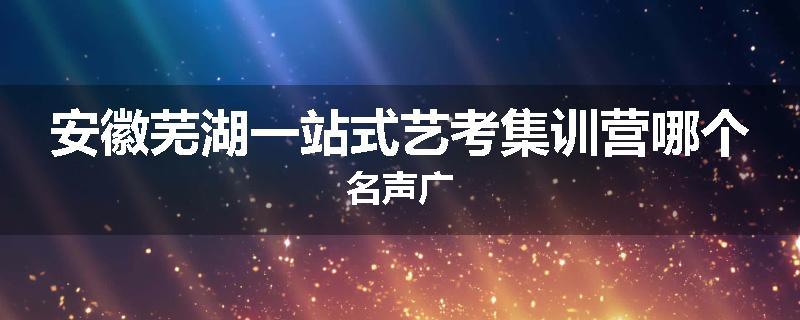 安徽芜湖一站式艺考集训营哪个名声广