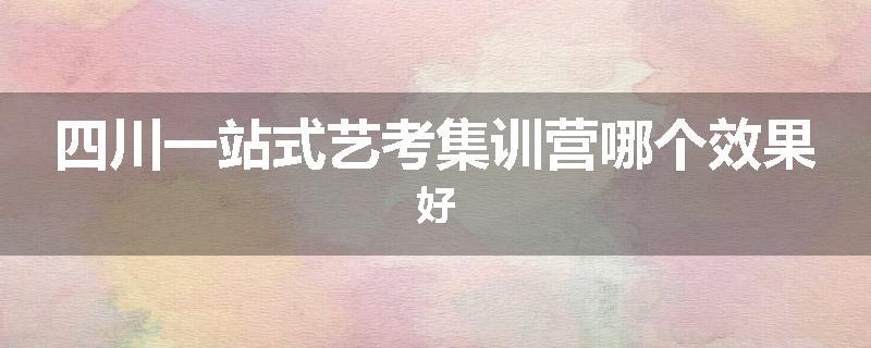 四川一站式艺考集训营哪个效果好