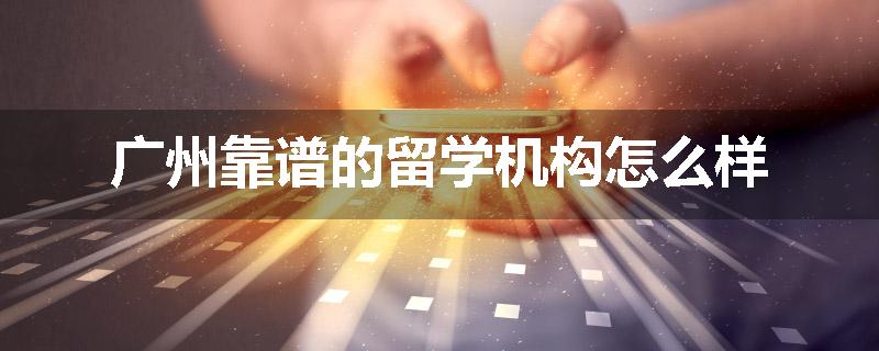 广州靠谱的留学机构怎么样
