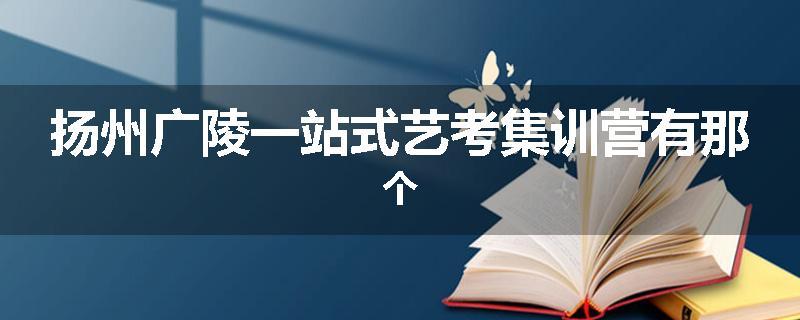 扬州广陵一站式艺考集训营有那个