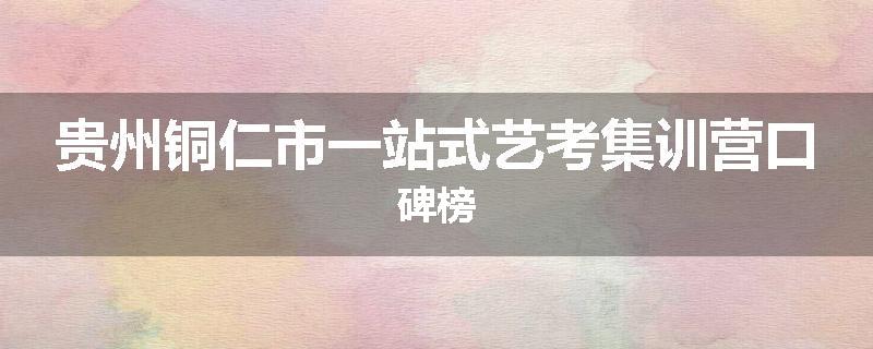 贵州铜仁市一站式艺考集训营口碑榜