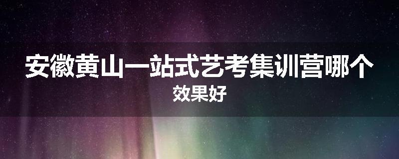 安徽黄山一站式艺考集训营哪个效果好