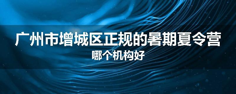 广州市增城区正规的暑期夏令营哪个机构好